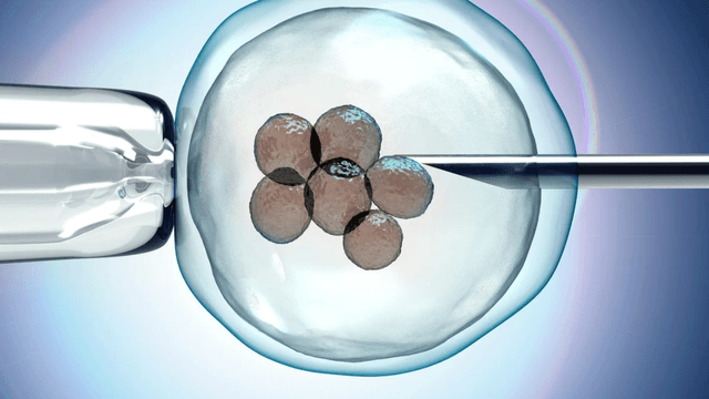 ಅಂಡಾಣು ಸಂರಕ್ಷಣೆ (Egg Freezing) ಬಗ್ಗೆ ವೃತ್ತಿಪರ ಮಹಿಳೆಯರಲ್ಲಿ ಹೆಚ್ಚಿದ ಒಲವು.! ಆದರೆ ಏತಕ್ಕೆ..?