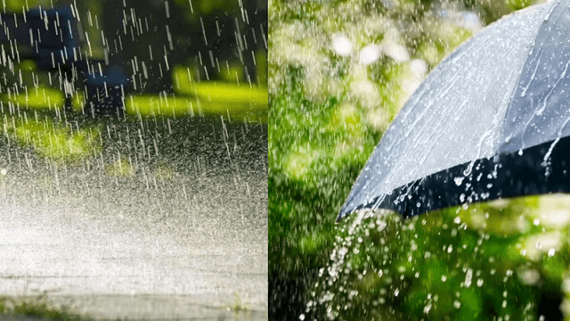Karnataka Braces for Heavy Monsoon Rains: Yellow Alert Issued for Several Districts..!