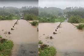 Coffee and Areca Plantations Submerged Due to Heavy Rain: Severe Impact in Mudigere and Sringeri..!