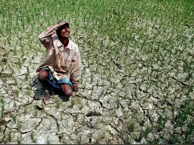 Severe Monsoon Rain Deficit in 11 Districts of the State!