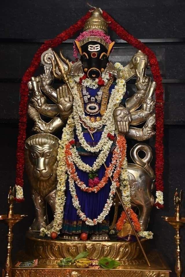 The Fierce Mother Goddess Varahi: One of the Sapta Matrikas and the Guardian of Kashi.