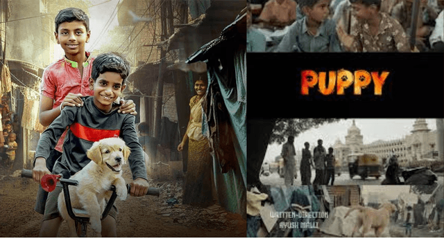 A Life Lesson in the Search for a Puppy: Emotional Migrant Tale ‘Pappi’ Now Streaming on Prime!