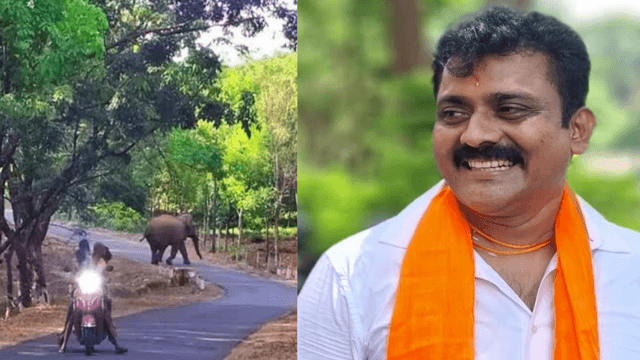 ಕಿಶೋರ್‌ ಕುಮಾರ್‌ ಪುತ್ತೂರು: ಕಾಡಾನೆ ಅಟ್ಟಹಾಸ ತಡೆಗಟ್ಟಲು ತಕ್ಷಣ ಕ್ರಮ ಕೈಗೊಳ್ಳುವಂತೆ ಒತ್ತಾಯ.!