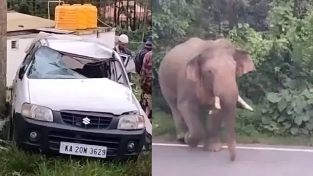  Lone Tusker Tosses Car After Dog’s Barking in Hassan: A Shocking Incident 