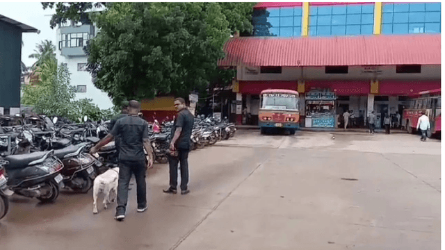 Bomb Threat Email in Bhatkal: Police Launch Emergency Security Sweep!