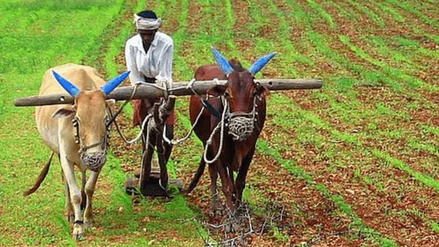 Goal is to Make Karnataka a “Podi-Free” State for farmers land: CM Siddaramaiah
