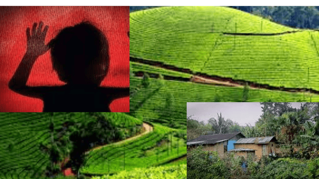 8-Year-Old Girl Raped and Murdered in Assam Tea Garden, Suspect Arrested..!