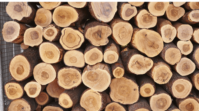 Is alcohol responsible for the fragrance of sandalwood? Oh, what a surprising truth!