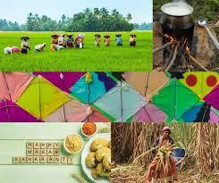 How is Sankranti celebrated?