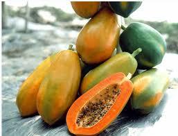 "Health Benefits of Eating Papaya!"