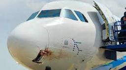 Bird Strike Scare: IndiGo Flight Returns to Patna Airport..!