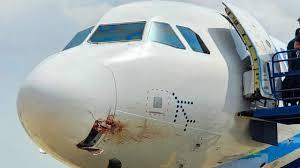 Bird Strike Scare: IndiGo Flight Returns to Patna Airport..!
