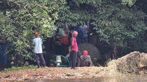 Dharmasthala Mass Burial Case: Overview and Forensic Investigation..