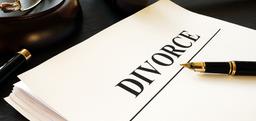 Self-Declared Income on Matrimonial Sites Not Valid Proof: Delhi High Court