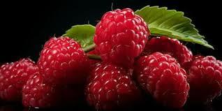 "How much do you know about raspberries — nature’s protective shield for your health?"