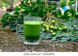 Which Diseases Can Be Treated Using Neem Leaves?