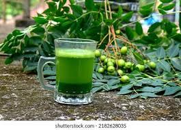 Which Diseases Can Be Treated Using Neem Leaves?