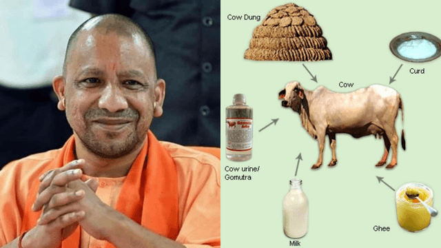 Panchagavya-Based Medicines to Be Produced in Uttar Pradesh – A Key Decision by Yogi Government